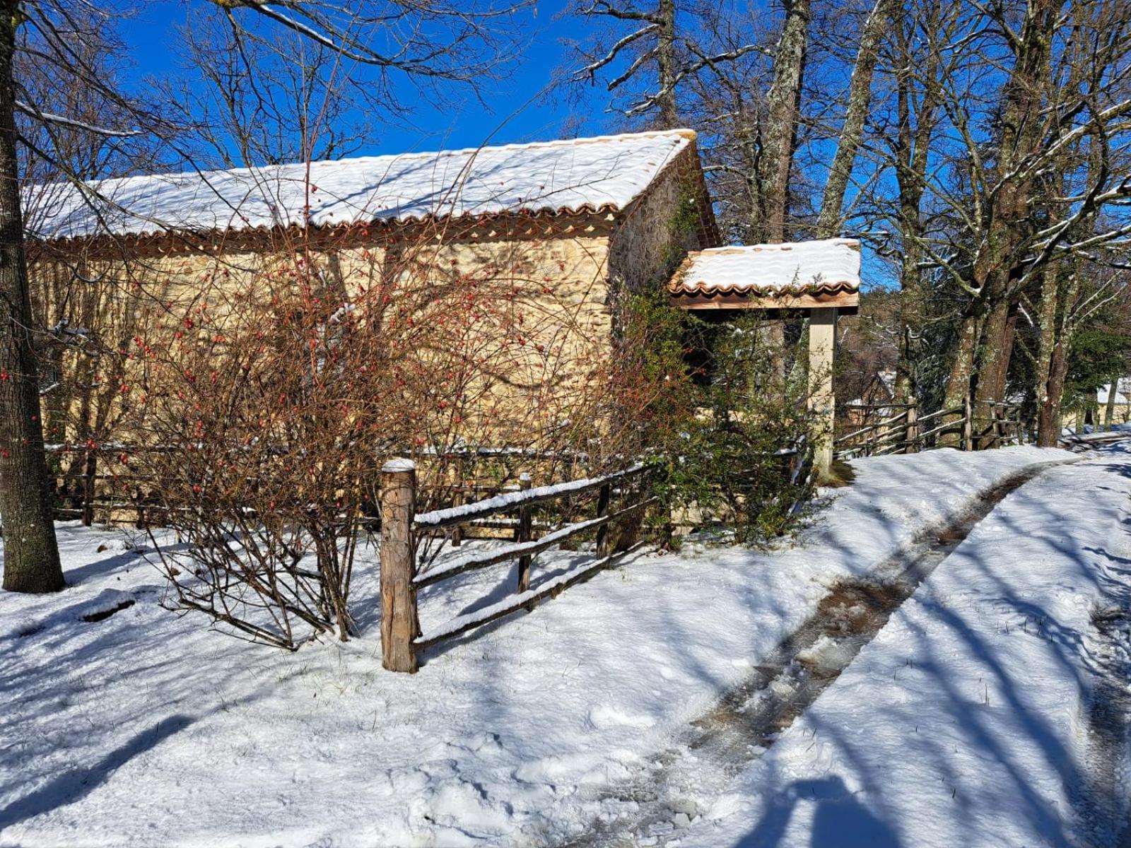 Torre Camigliati Dimora Storica Hotel Camigliatello Silano Exterior foto