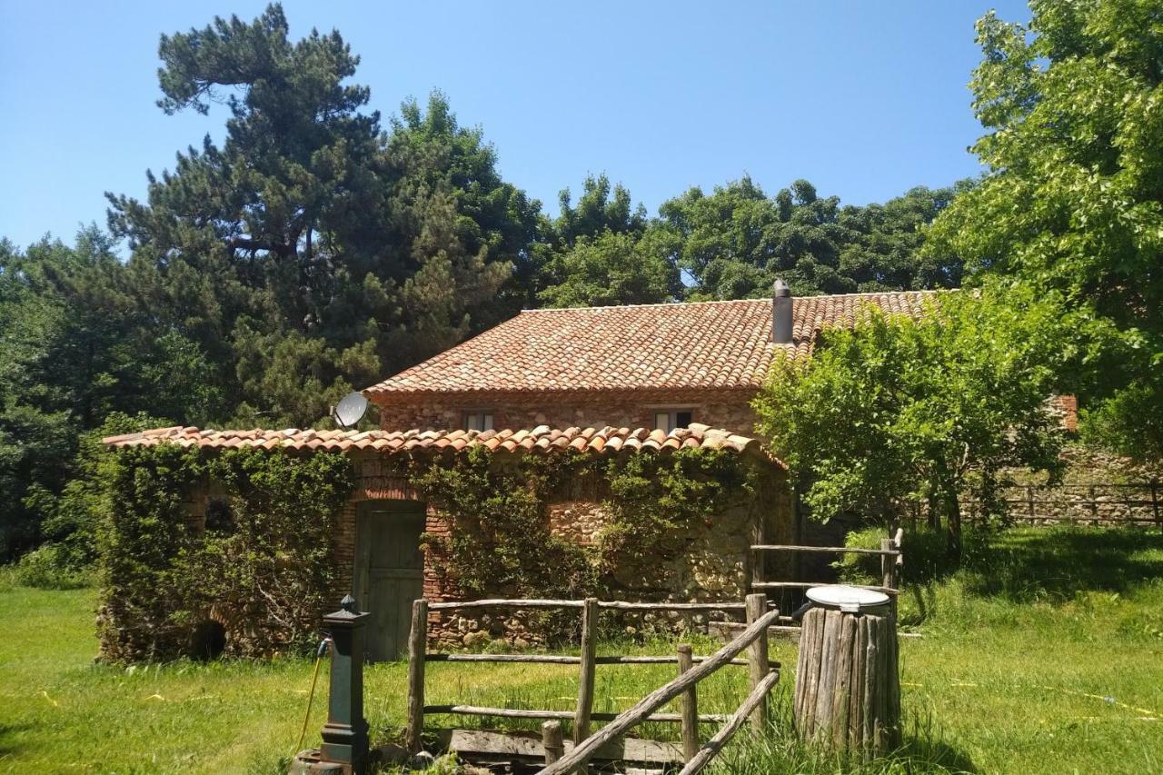 Torre Camigliati Dimora Storica Hotel Camigliatello Silano Exterior foto